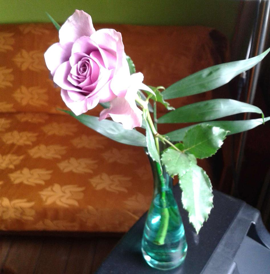 Rose vom Intendanten des Theas Theater